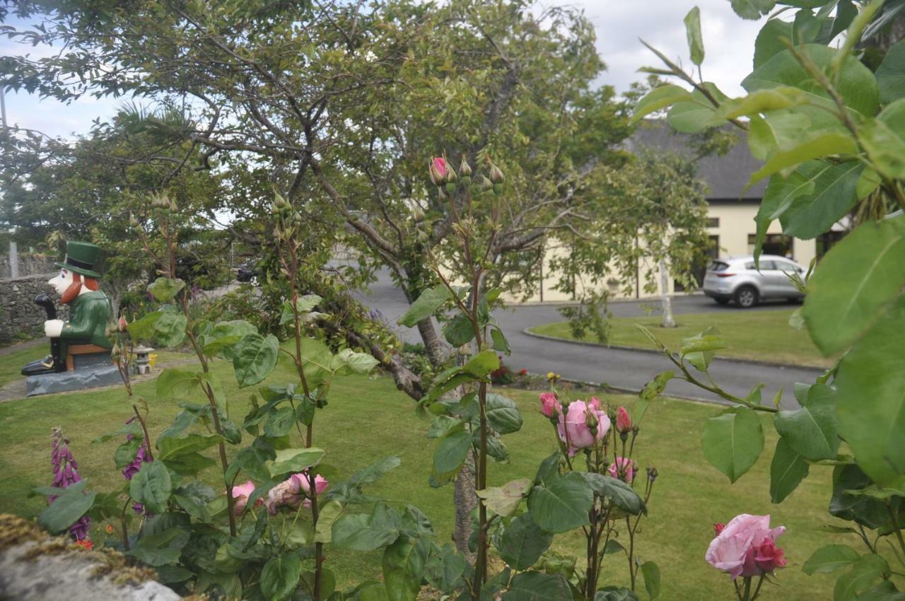 Shalom Bed and Breakfast Carlingford Εξωτερικό φωτογραφία